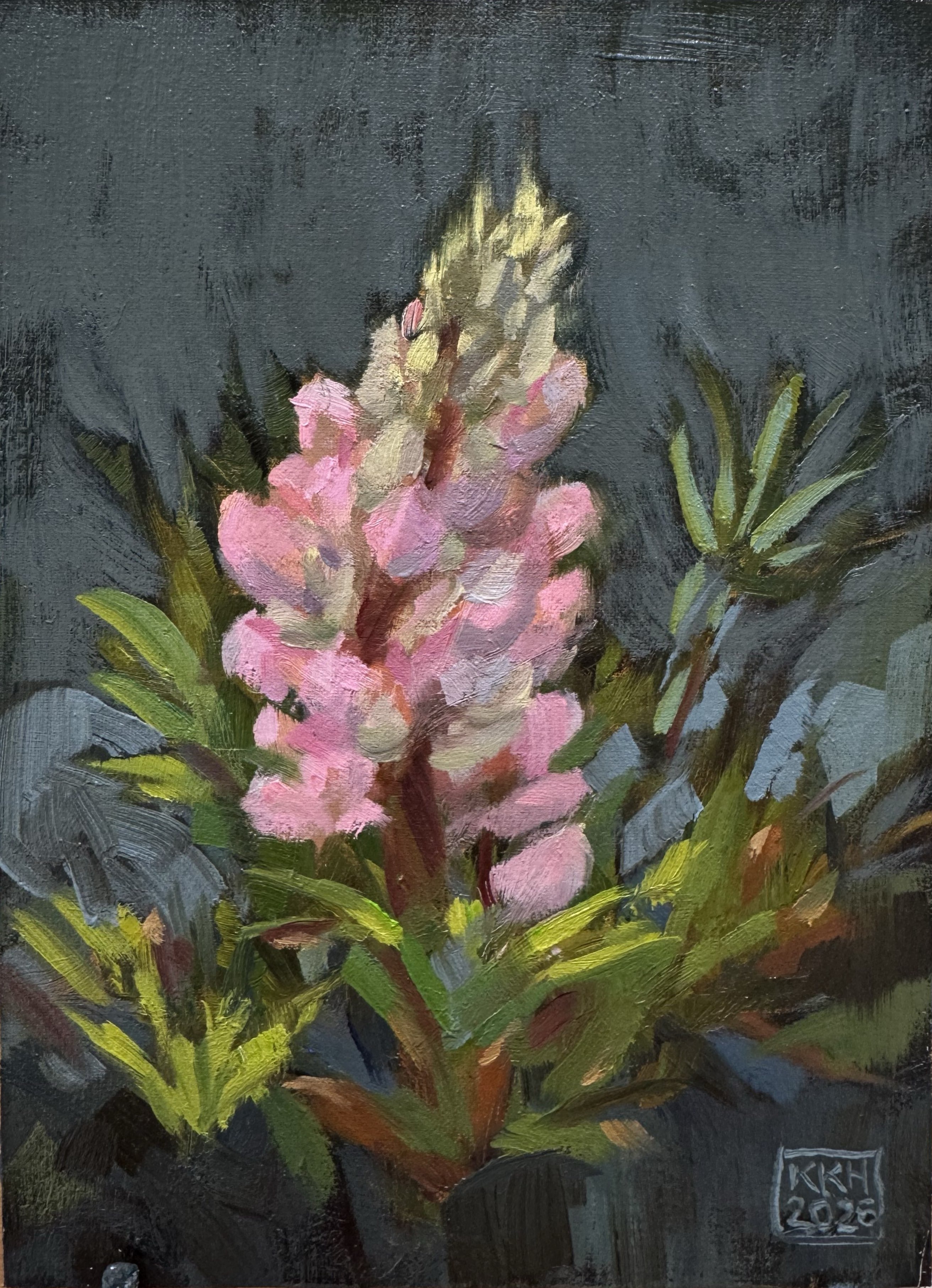 First Blush