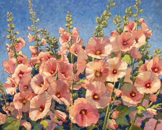 Hollyhocks
